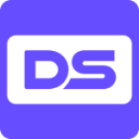 Digital Surge-logo