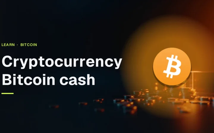 The title Bitcoin Cash over a dark navy background with glowing orange coins and a glass block on the right.