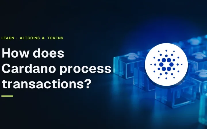 Cardano guide cover with title and logo over glowing glass blocks linked by blue light on a dark navy background.