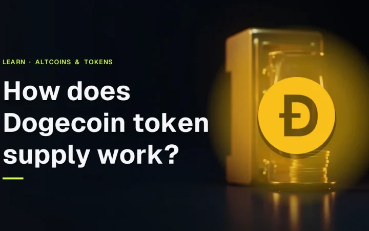 Omslag van de Dogecoin-supplygids met het Dogecoin-logo en een achtergrond van gouden munten en een glazen kluis op een donkerblauwe ondergrond.