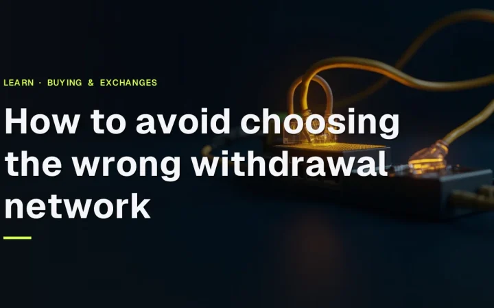 The title How to avoid choosing the wrong withdrawal network over a dark navy background with a network switch and gold cables on the right.
