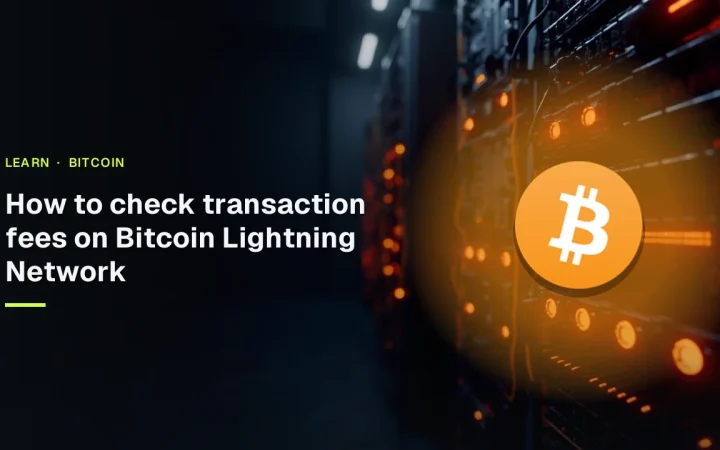 The title How to check transaction fees on Bitcoin Lightning Network with the Bitcoin logo over dark server racks and orange lights.