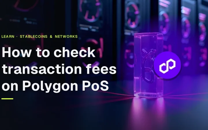 Titlen Sådan tjekker du transaktionsgebyrer på Polygon PoS med Polygon-logoet over mørke serverracks og en glasskædeskulptur.