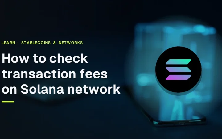 Der Ratgeber-Titel und das Solana-Logo über einem dunklen Schreibtisch mit einer Hardware-Wallet und leuchtenden cyanfarbenen Balken.