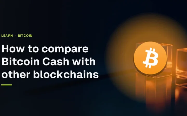 The guide title and the Bitcoin logo over a dark navy background with glass blocks joined by glowing orange light.