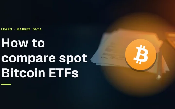 Et mørkt navyblåt skrivebord med blanke formularer, en lommeregner og en pen, oplyst af orange skær til højre; guidens titel og Bitcoin-logoet vises til venstre.