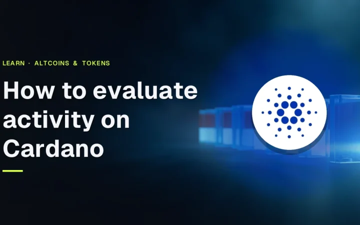 The guide title and the Cardano logo over glass blocks joined by glowing blue light lines on a dark navy background.