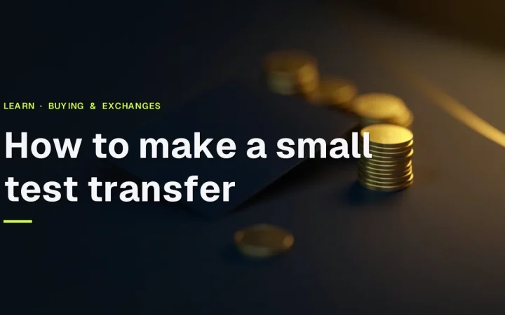 A test transfer guide title over a dark navy background with a small stack of blank gold coins and a plain wallet card lit from the right.