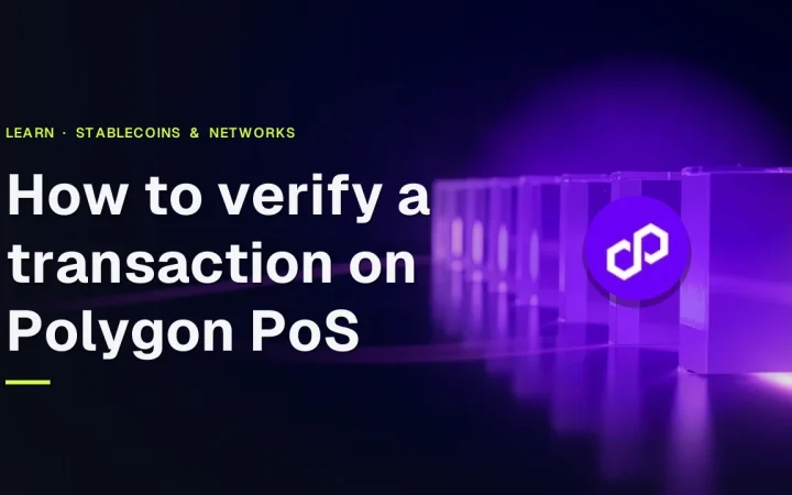 Der Ratgeber-Titel und das Polygon-Logo über Reihen von Glasblöcken, die durch violettes Licht auf einem dunkelblauen Hintergrund verbunden sind.
