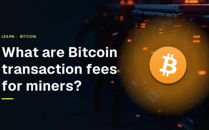 The title What are Bitcoin transaction fees for miners? and the Bitcoin logo over a dark navy background with rows of glowing mining rigs