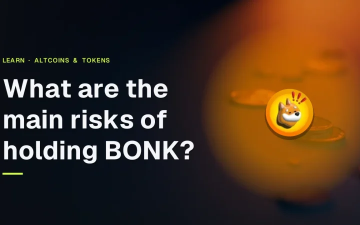 The title What are the main risks of holding BONK? over a dark navy scene with blank orange coins and a steel plate on the right.