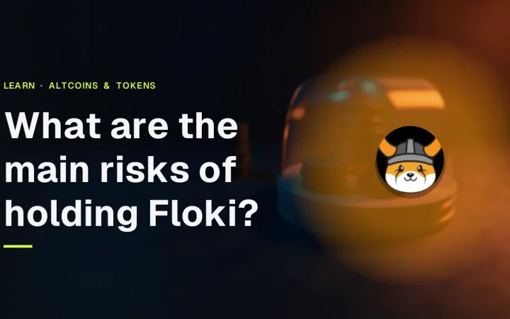 Guidetitlen og Floki-logoet over en mørk navyblå scene med tomme mønter og en glasmontre oplyst i orange.