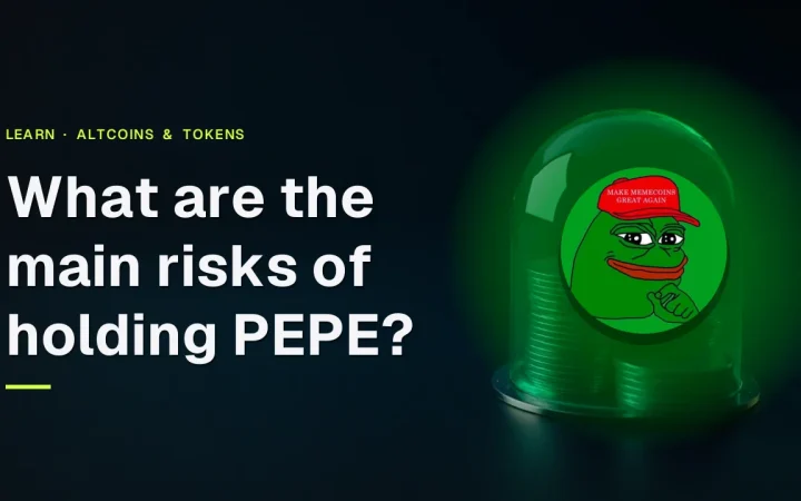 De titel Wat zijn de belangrijkste risico's van het aanhouden van PEPE? boven een donker bureau met blanco muntenstapels en een glazen stolp.