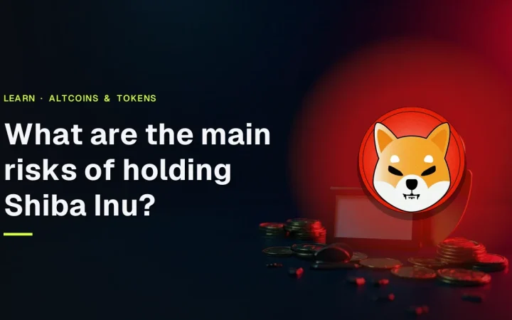 De titel Wat zijn de belangrijkste risico's van het aanhouden van Shiba Inu, het Shiba Inu-logo en een donkere scène met een hangslot, schild en portemonnee met blanco scherm.