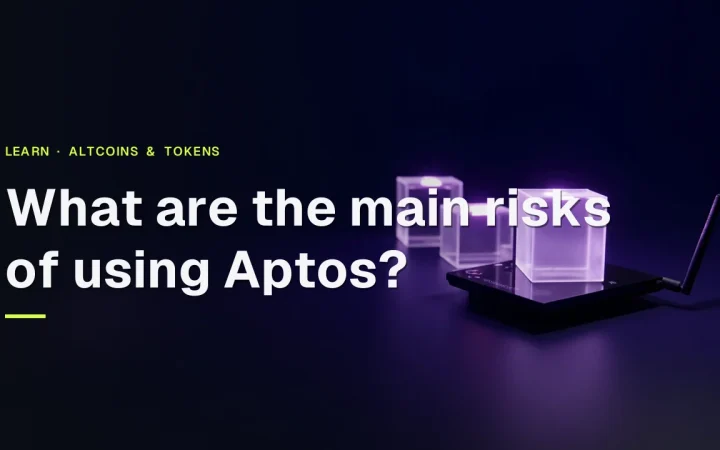 The guide title over a dark navy background with glass blocks joined by violet light and a router, representing Aptos risk.