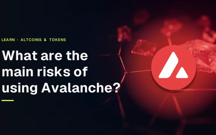 Avalanche guide cover with the title over a dark navy background of glowing red hexagonal blocks and light lines.