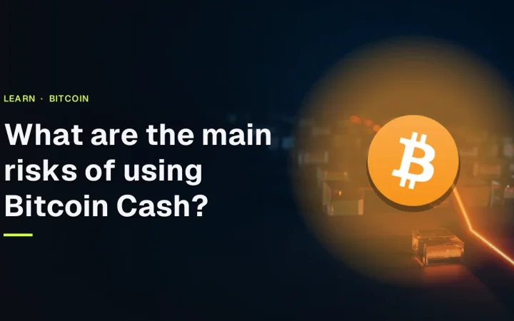 The title and the Bitcoin logo over a dark navy background of glowing glass blocks joined by orange light lines.