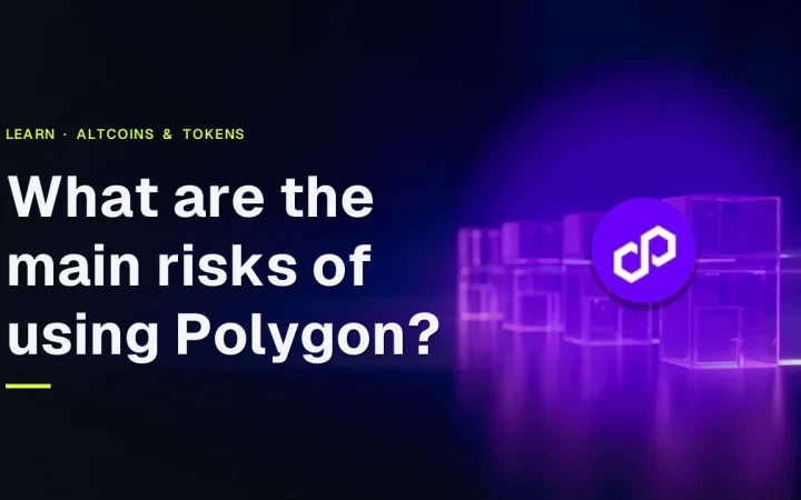 De titel Wat zijn de belangrijkste risico's van het gebruik van Polygon? met het Polygon-logo boven een donkerblauwe achtergrond van gloeiende violette glazen blokken die door licht met elkaar verbonden zijn.