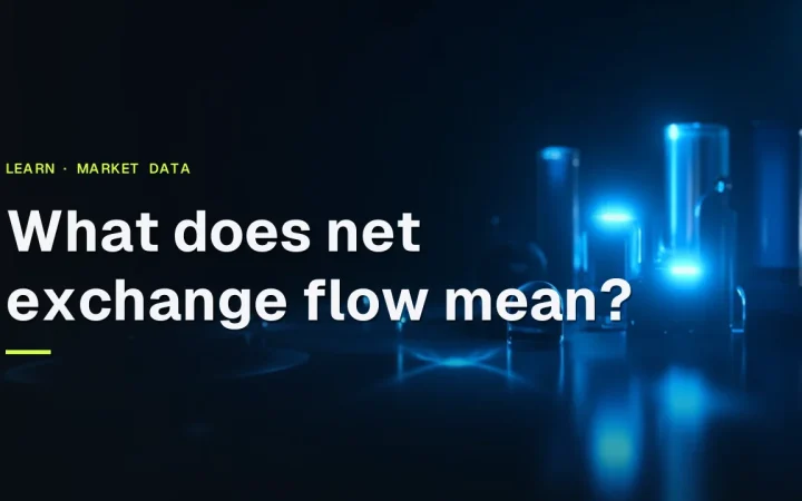 Titlen What does net exchange flow mean? over en mørk navy baggrund med glødende blå bjælker og skiver til højre.