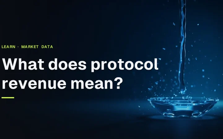 The title 'What does protocol revenue mean?' over a dark navy background with glowing blue light flowing through glass pipes into a basin.