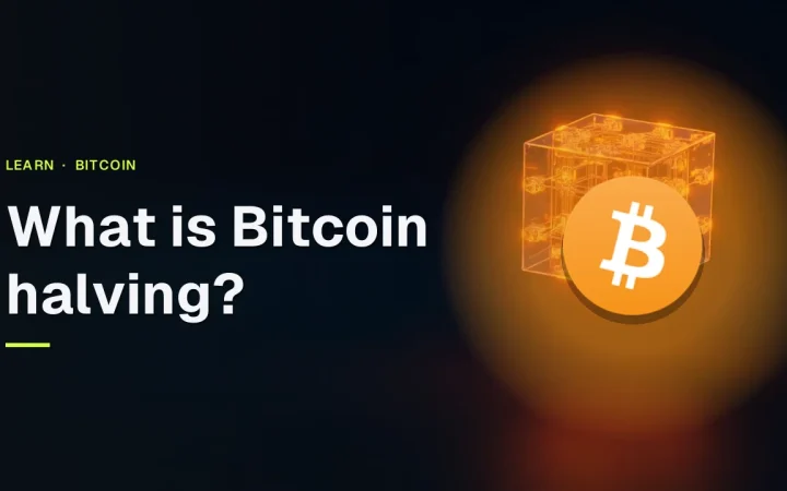 Bitcoin halving guide cover with the Bitcoin logo and glowing orange chain blocks on a dark navy background