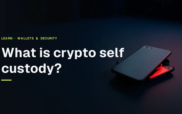 The title What is crypto self custody appears over a dark desk with a hardware wallet and steel plate lit by red glow.