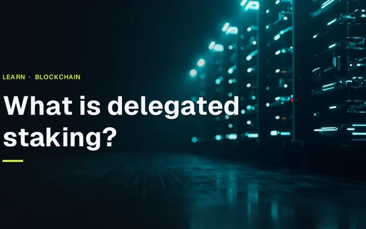 The title 'What is delegated staking?' over a dark navy scene with glowing cyan server racks on the right and an empty dark left half.