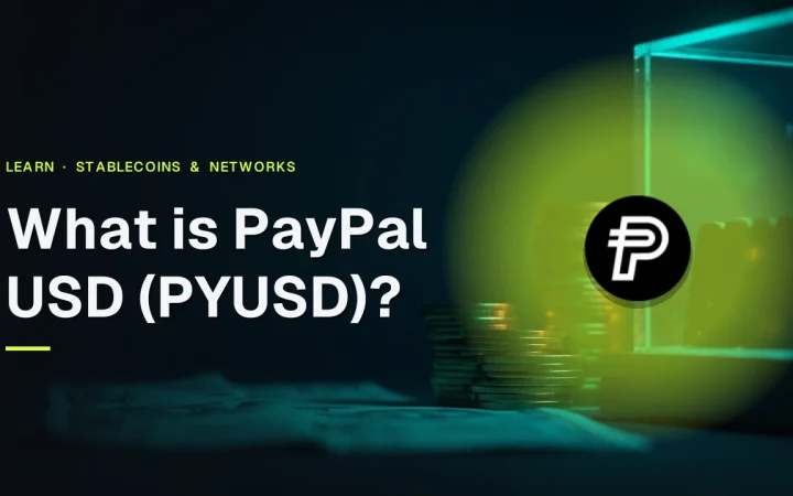 The title What is PayPal USD? and the PayPal USD logo over stacks of blank coins, a glass vault and banknote paper in dark navy and teal.