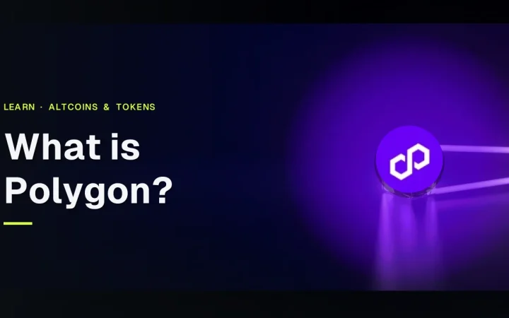 De titel Wat is Polygon? en het Polygon-logo op een donker marineblauwe achtergrond met doorschijnende blokken die door violet licht met elkaar verbonden zijn.