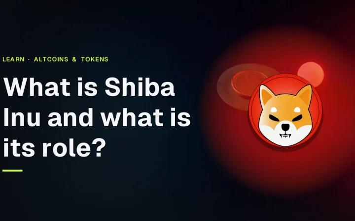 Omslag van de Shiba Inu-gids met het SHIB-logo en titel boven een donkerblauw bureauscène met een blanco koperen munt en stalen plaat.