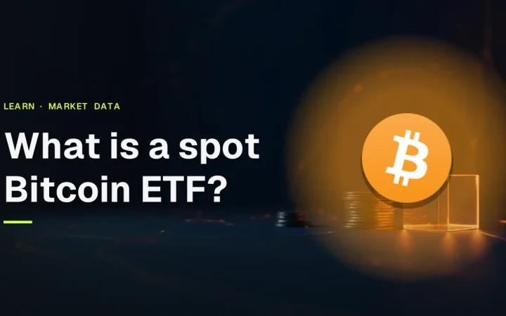Forside: Hvad er en spot Bitcoin-ETF? med Bitcoin-logoet over stabler af blanke metalmønter og en glasterning i et mørkt navyblåt pengeskab.
