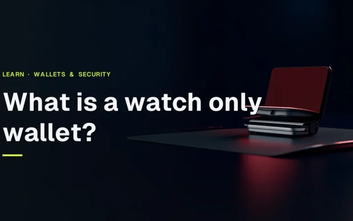 The title What is a watch only wallet? over a dark desk with a hardware wallet with a blank screen and a steel plate.