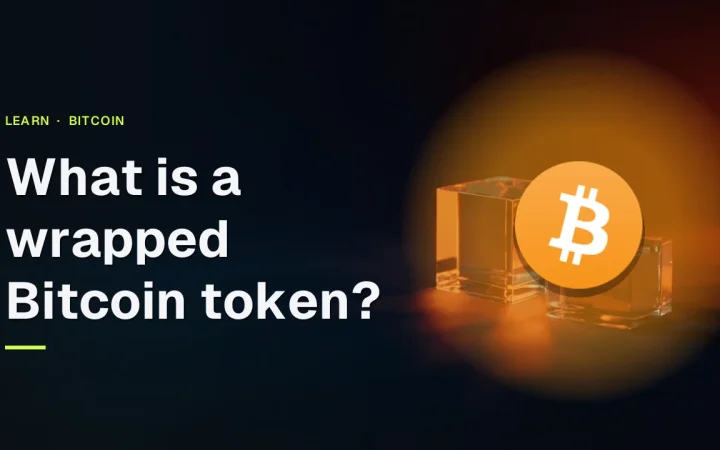 The guide title What is a wrapped Bitcoin token? with the Bitcoin logo over glass blocks joined by glowing orange light on a dark navy background.