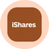 iShares Silver Trust (Ondo Tokenized Stock) (SLVON)-logo