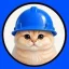 Basecat (BASECAT) logo