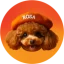 Rosa Inu (ROSA) logo