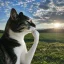 Thinking Cat (HMM) logo
