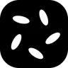 Nest BlackOpal LiquidStone II Vault (NOPAL) logo