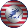 Spiko Amundi Overnight Swap Fund (SAFO)-logo