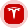 Tesla (Ondo Tokenized Stock) (TSLAON) logo
