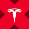 Tesla xStock (TSLAX) logo