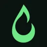 логотип torch (TORCH)